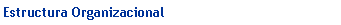 Text Box: Estructura Organizacional